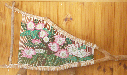 ベニバナアジサイ